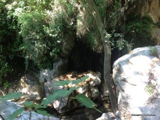 ldaia del Drago25-07-2015 20-35-09